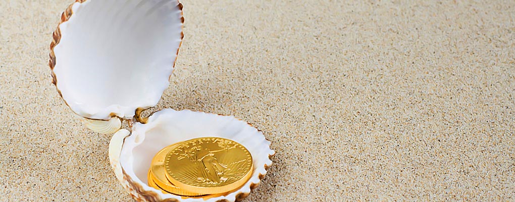 clam-1020x400