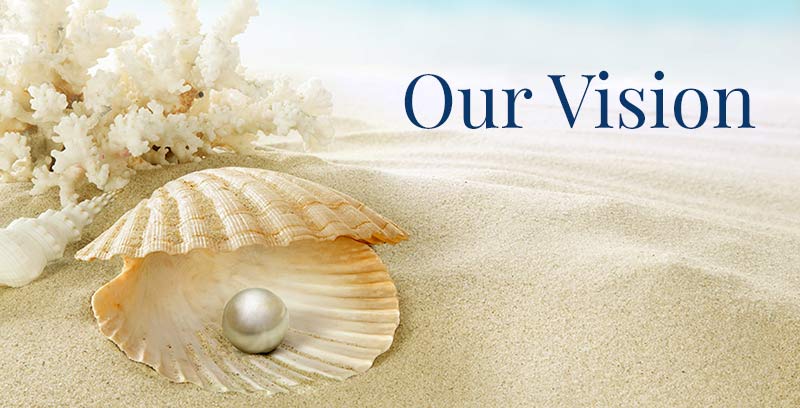 Our Vision Long Island Fee Only Financial Planner